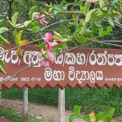 තවත් පීන්තූර